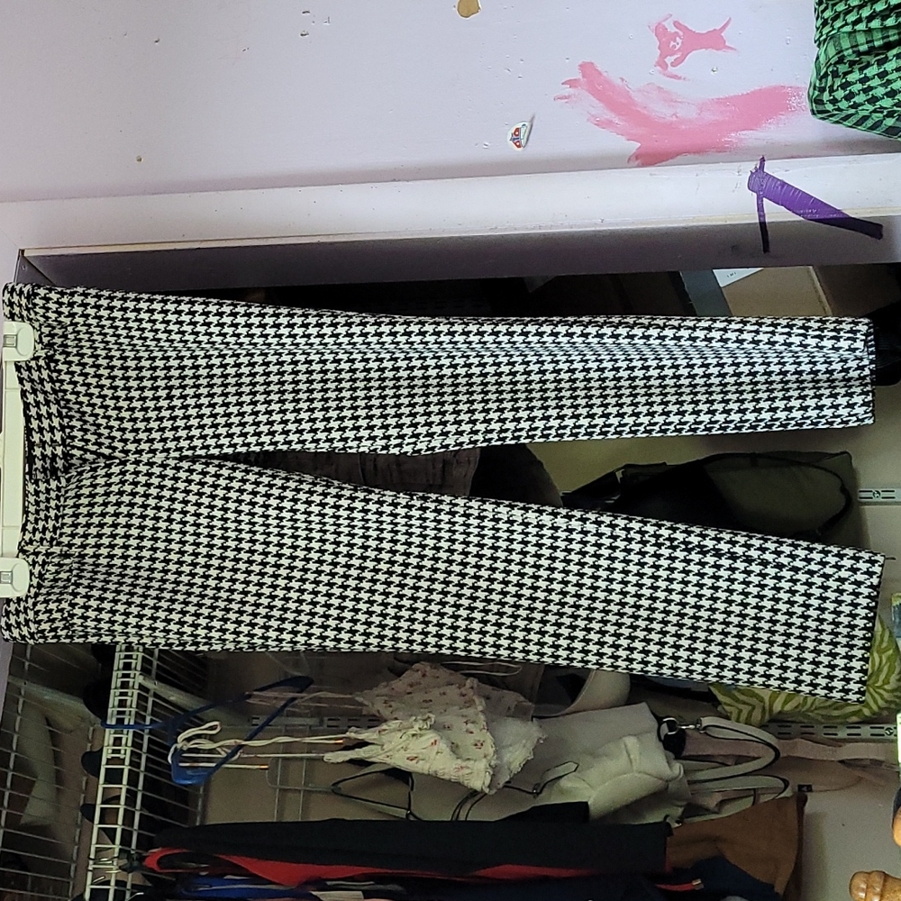 Express Columnist knit pant